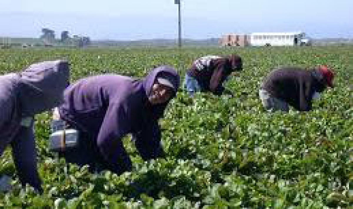 Trabajadores inmigrantes